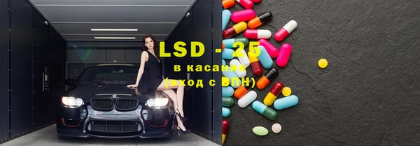 spice Бородино