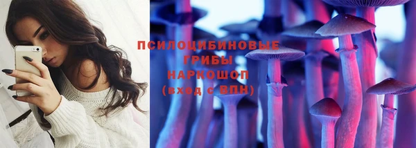 прущие грибы Верхнеуральск