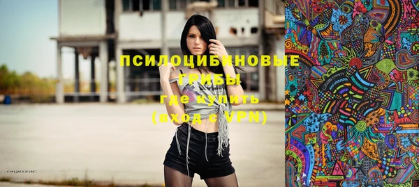прущие грибы Верхнеуральск