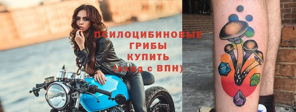 прущие грибы Верхнеуральск