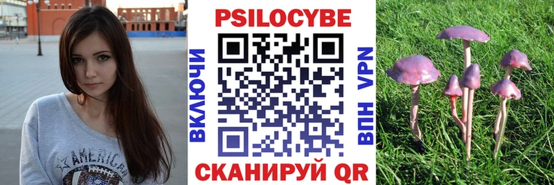 Псилоцибиновые грибы Cubensis  Давлеканово 